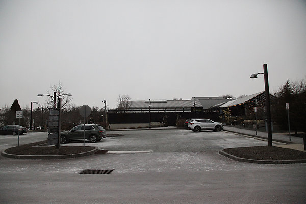 Terrain Devon 021125 300pm 058