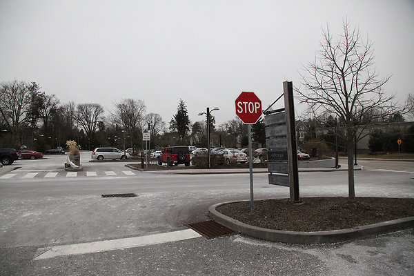 Terrain Devon 021125 300pm 057